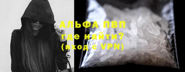 шишки Майский