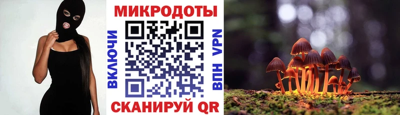 как найти закладки Шатура mega рабочий сайт Галлюциногенные грибы Psilocybe