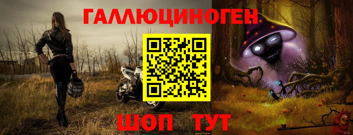 Псилоцибиновые грибы прущие грибы Шатура
